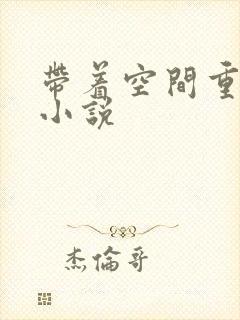 带着空间重生的小说