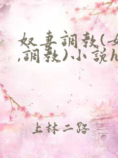 奴妻调教(女m,调教)小说hhh