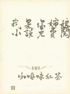 我是你婶娘妈妈小说免费阅读