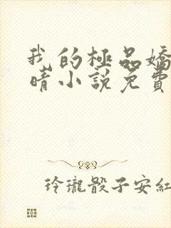 我的极品娇妻苏晴小说免费阅读