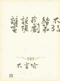 谁说我结不了婚电视剧第3集