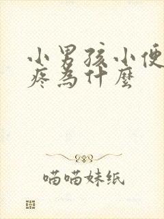 小男孩小便小鸡疼为什么