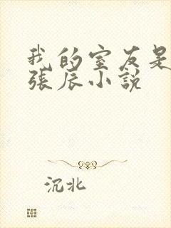 我的室友是直男张辰小说