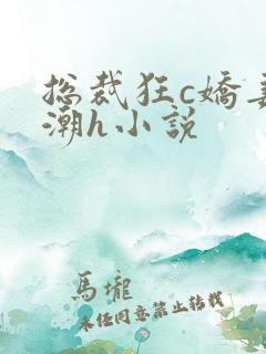 总裁狂c娇妻高潮h小说