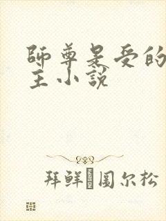 师尊是受的双男主小说