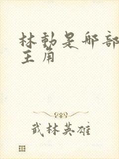 林动是哪部小说主角