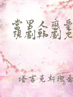 当男人恋爱时电视剧韩剧免费