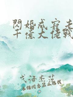 闪婚成宠老公是千亿大佬战胤海