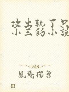 攻出轨了只爱男小三的小说