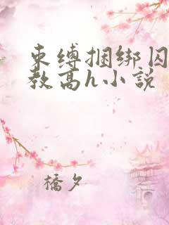 束缚捆绑囚禁调教高h小说