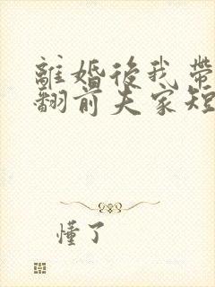 离婚后我带娃虐翻前夫家短剧全集免费观看