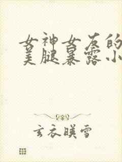 女神女友的丝袜美腿暴露小说
