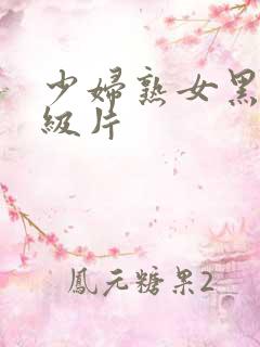 少妇熟女黑丝一级片