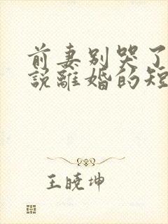 前妻别哭了是你说离婚的短剧在线看