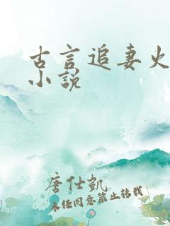 古言追妻火葬场小说