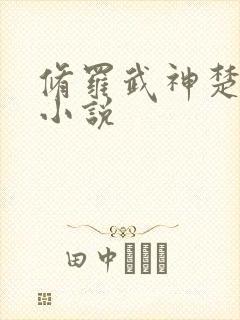 修罗武神楚枫的小说