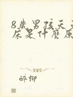 8岁男孩天天尿床是什么原因