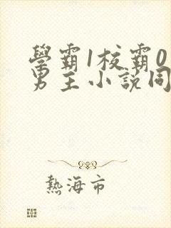 学霸1校霸0双男主小说同人文