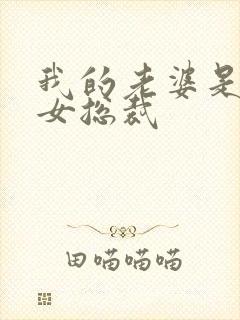 我的老婆是冰山女总裁