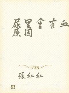 尿里会有血什么原因