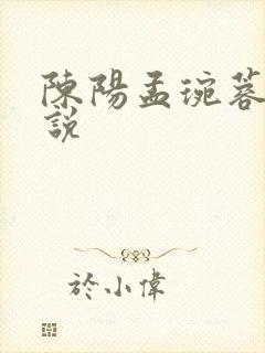 陈阳孟琬蓉的小说