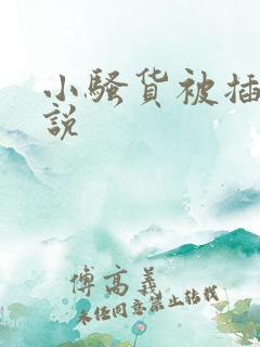 小骚货被插入小说