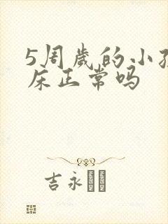 5周岁的小孩尿床正常吗