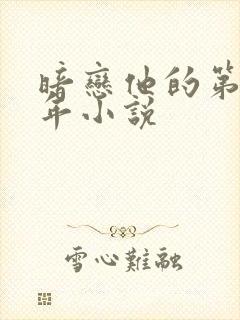 暗恋他的第十一年小说