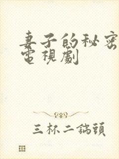 妻子的秘密韩国电视剧