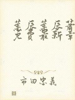 叶辰叶辰萧初然免费最新章节