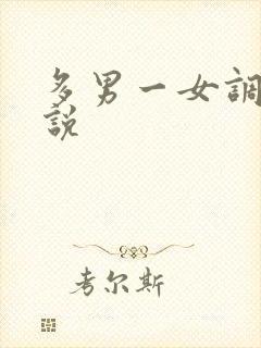 多男一女调教小说