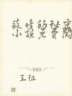 苏晴的秘密言情小说免费阅读