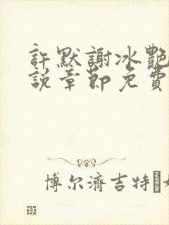 许默谢冰艳的小说章节免费阅读