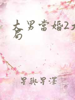 大男当婚2大结局