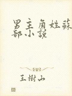 男主角姓苏的全部小说