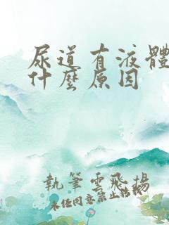 尿道有液体流出什么原因