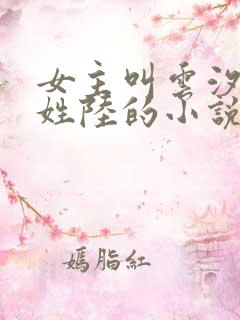 女主叫云汐男主姓陆的小说