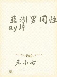 亚洲男同性恋gay片