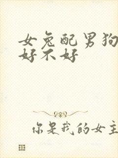 女兔配男狗婚配好不好