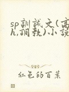 sp训诫文(高h,调教)小说