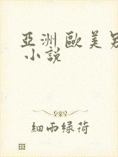 亚洲 欧美另类 小说