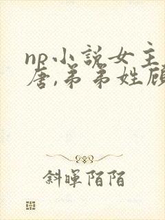 np小说女主姓唐,弟弟姓顾