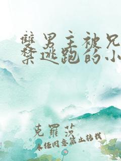 双男主被兄长囚禁逃跑的小说