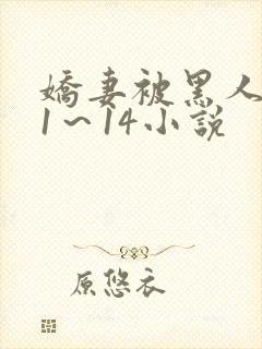 娇妻被黑人伦轩1～14小说