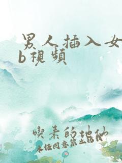 男人插入女人bb视频