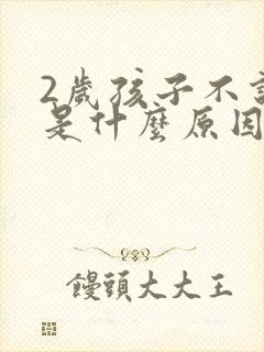 2岁孩子不说话是什么原因