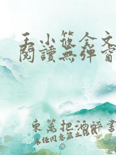 王小筱全文免费阅读无弹窗笔趣阁