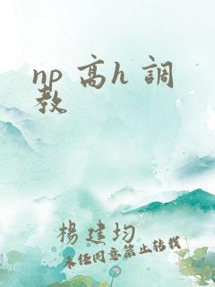 np 高h 调教
