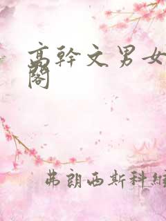 高干文男女笔趣阁