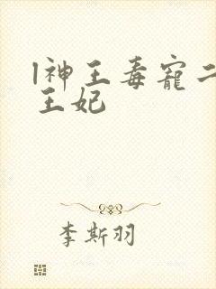 l神王毒宠二嫁王妃